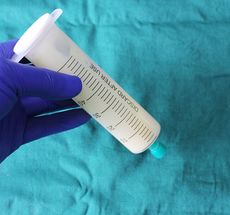 Dino syringe plunger cap series for medical-2